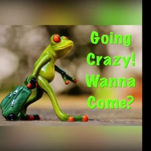 Meet your Posher, Alonzo